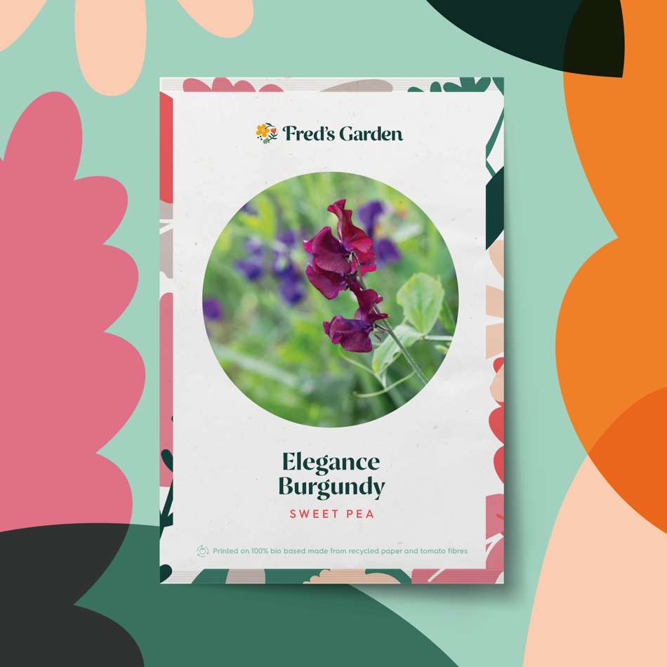 Luktärt 'Elegance Burgundy' (frö)